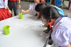 สัปดาห์วิทยาศาสตร์ (15)